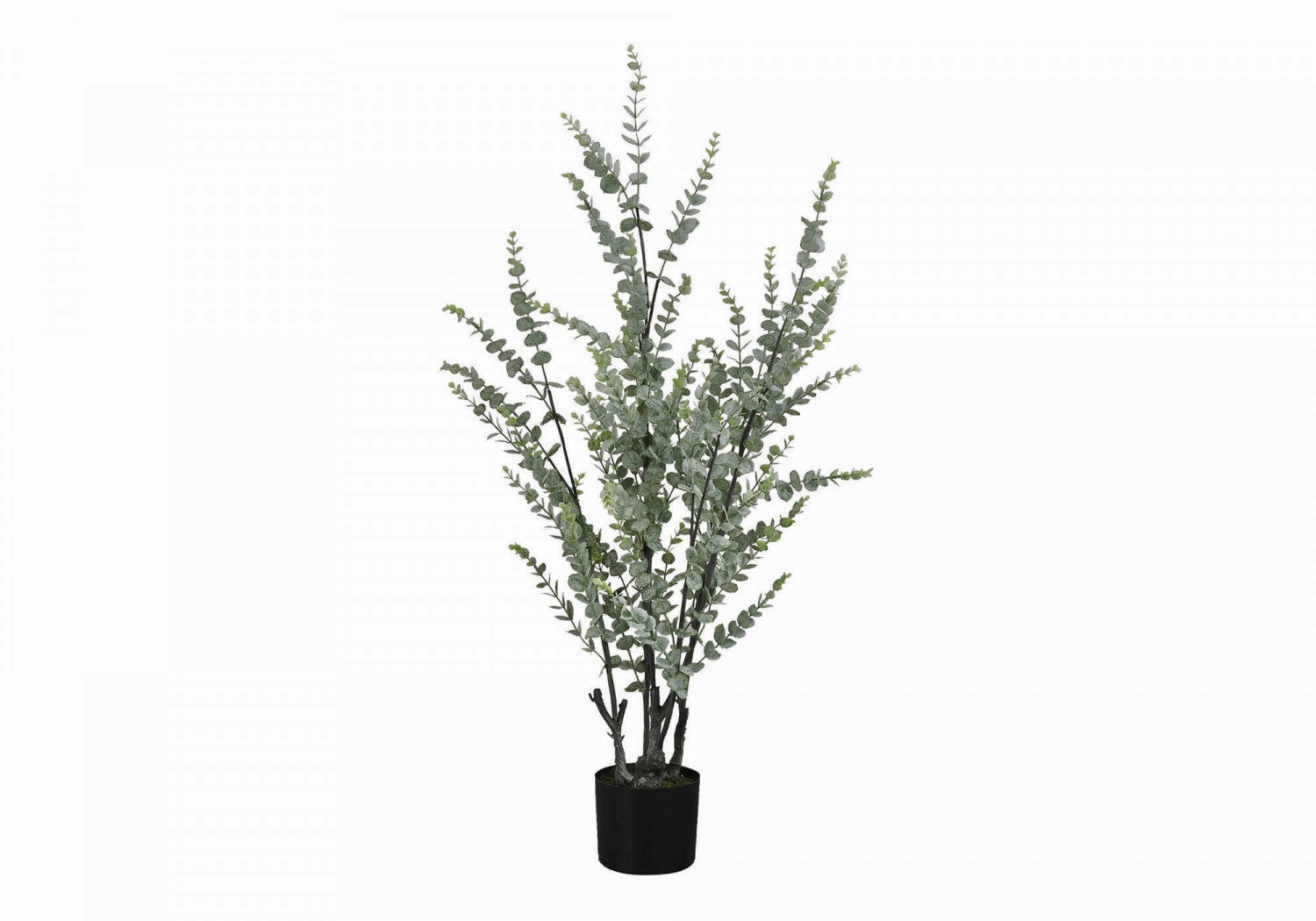 44" Eucalyptus Plant With 5" Black Pot - Green