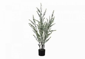 44" Eucalyptus Plant With 5" Black Pot - Green