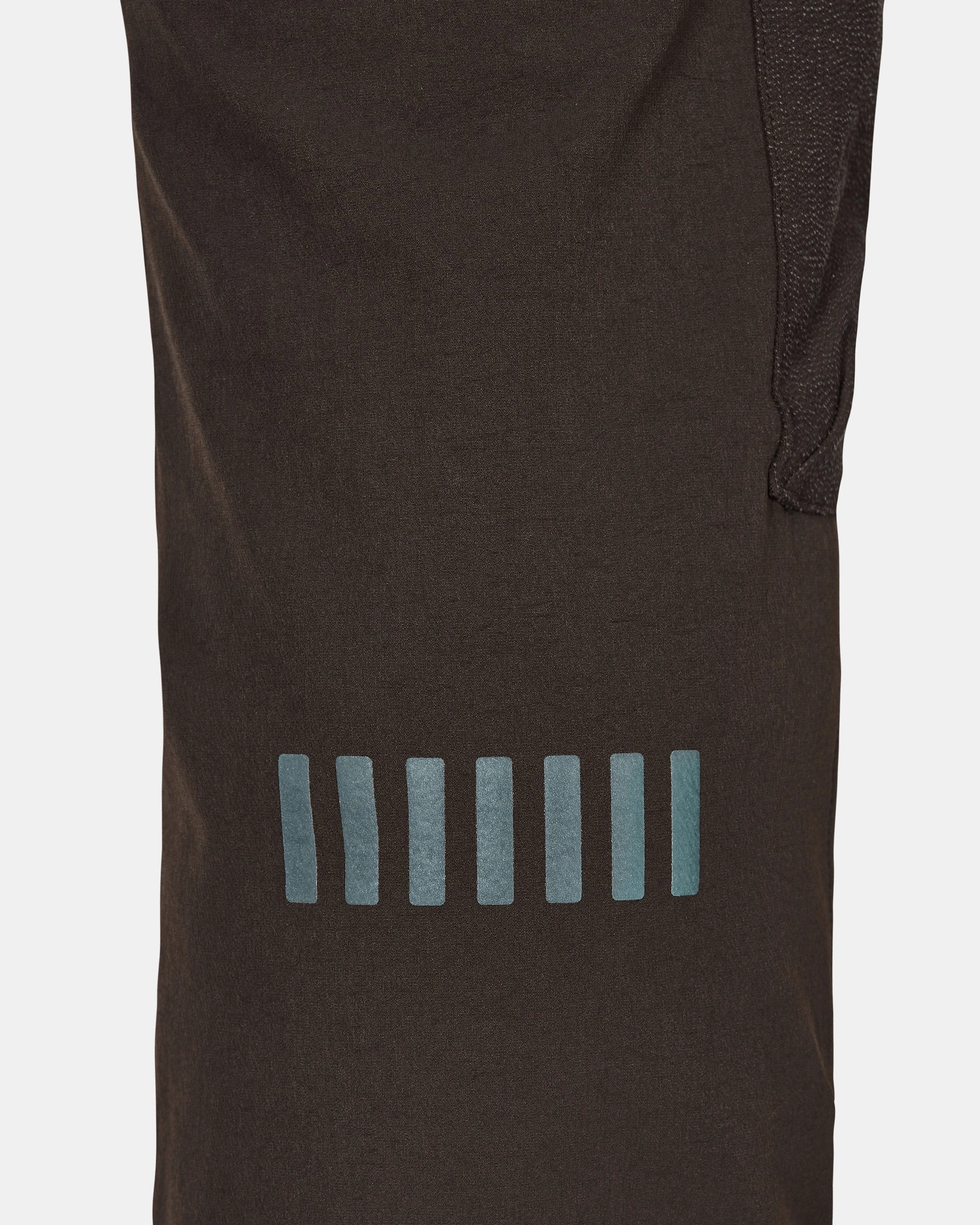 CACT.US CORP Pants Brown