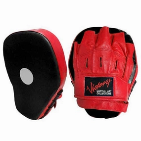 COACHING MITT (PAIR)  - Hook & Jab Punching Targets -