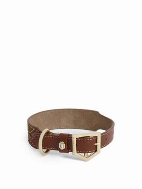 Ohio Dog Collar - Tan