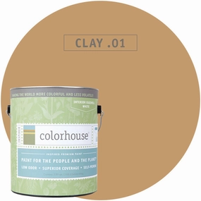 Paint by Colorhouse CLAY .01