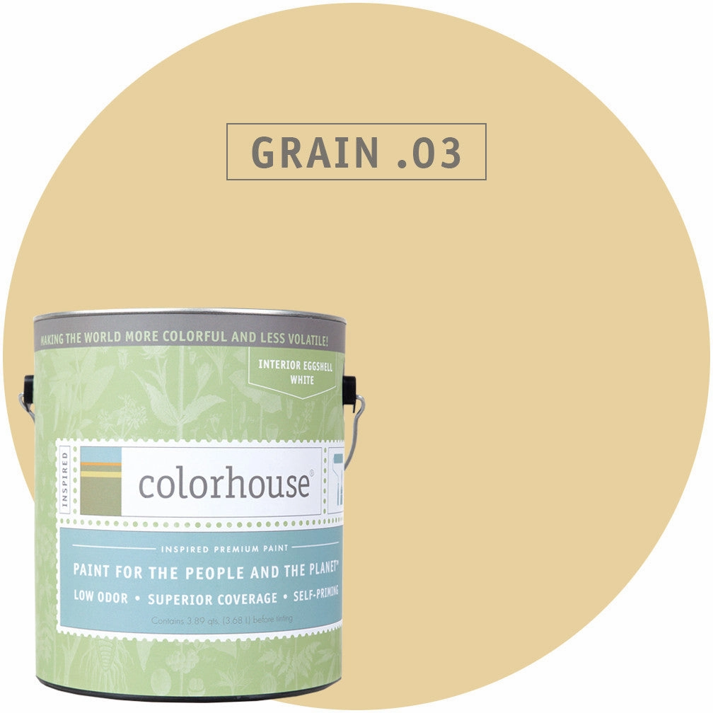 Paint by Colorhouse GRAIN .03