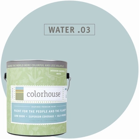 Paint by Colorhouse WATER .03