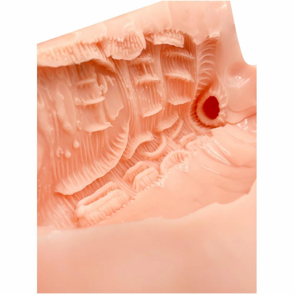 Peach Toys - Floor Ona Type PAD21 Masturbator Pad (Beige)