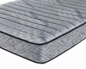 Sealy® Essentials Mya Plush Twin Mattress and Boxspring Set