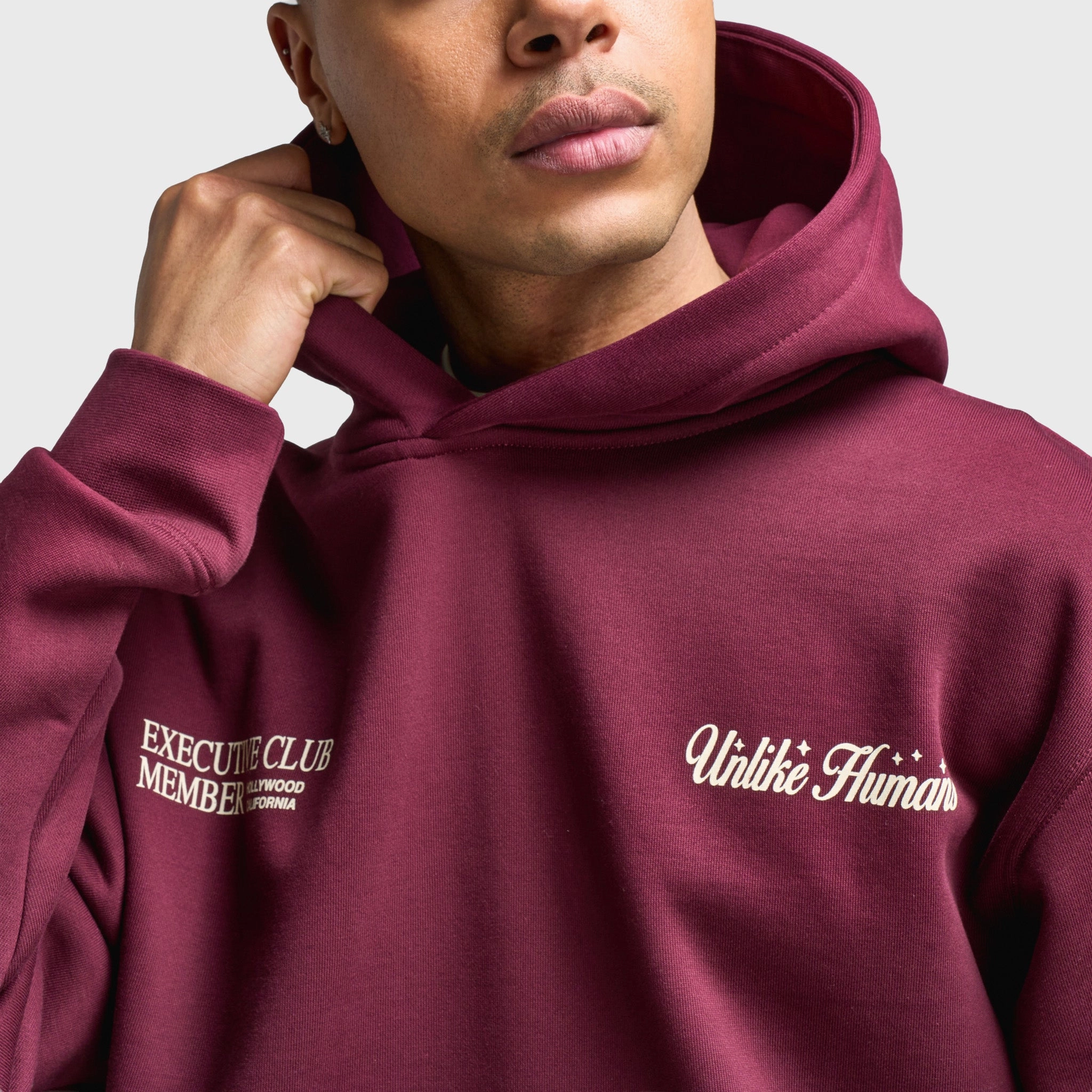 Unlike Humans Fremont Pullover Hoodie / Windsor Wine