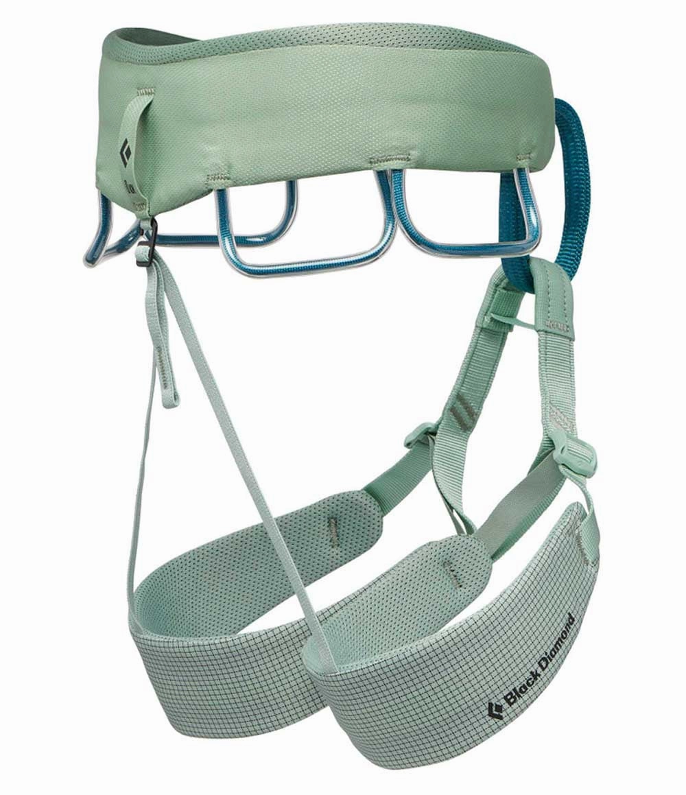 W Momentum Harness