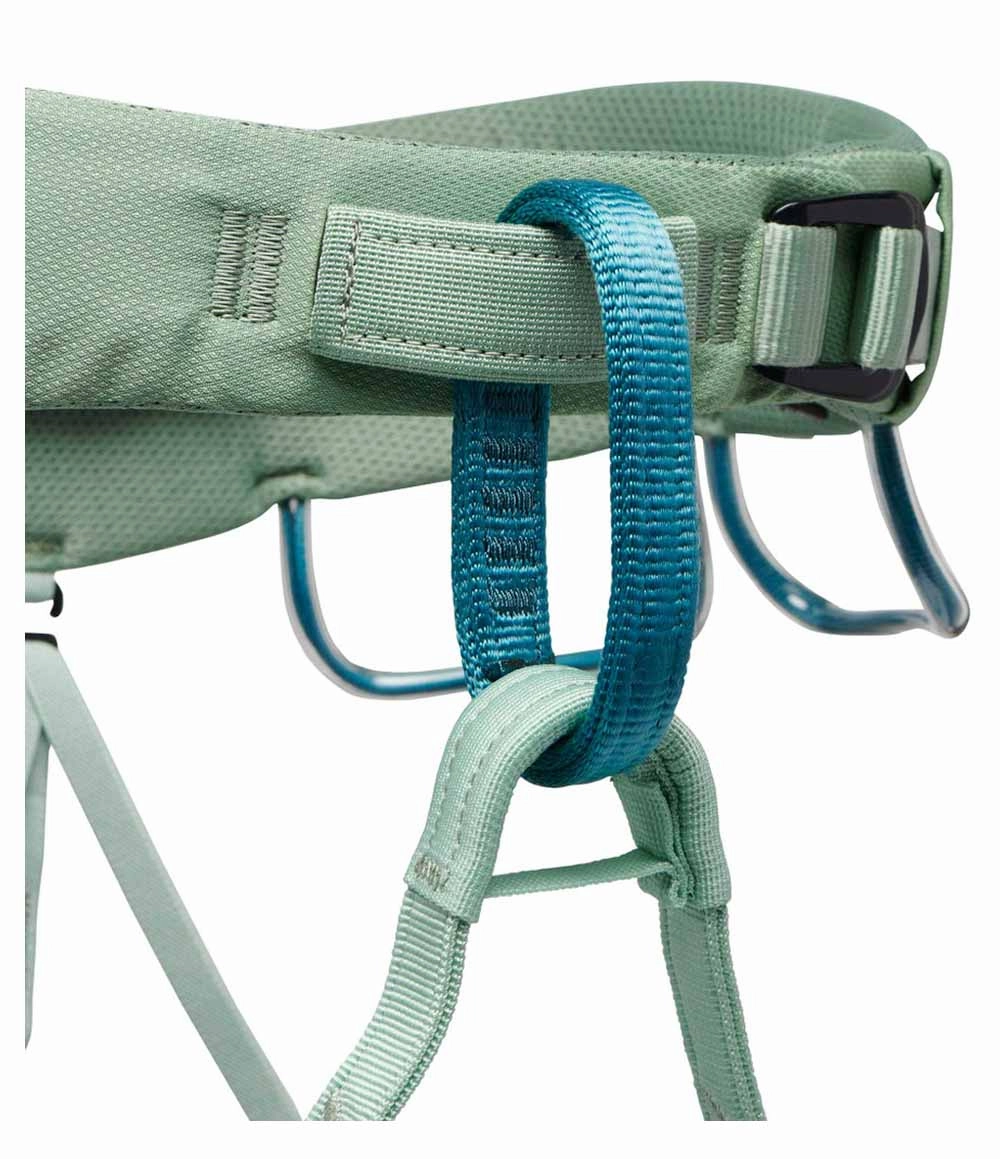 W Momentum Harness