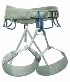 W Momentum Harness